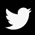 logo-footer